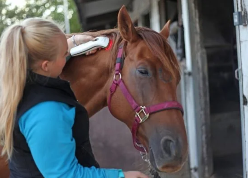 Silent Photizo Vetcare