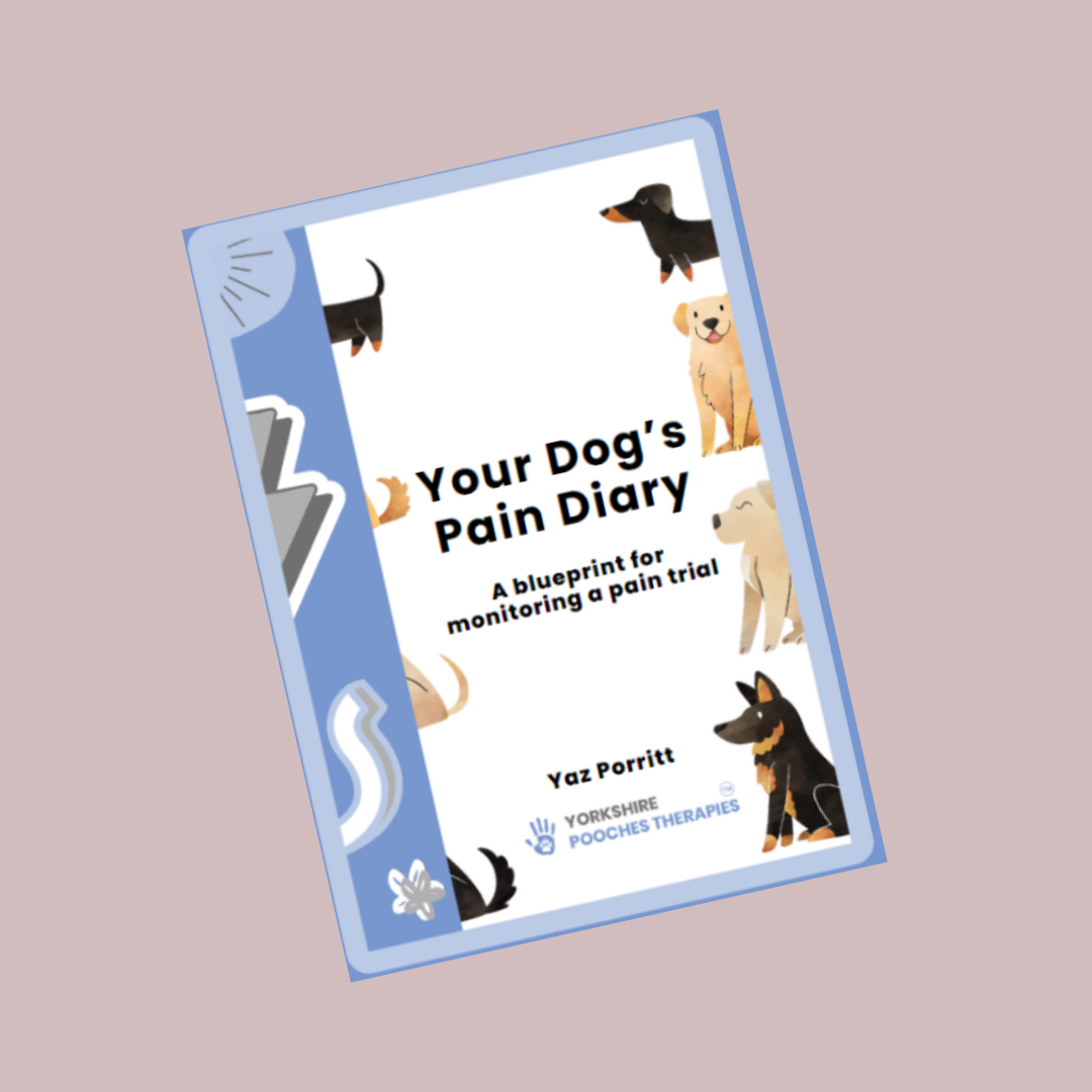 Your Dog's Pain Diary - A Blueprint For Monitoring A Pain Trial - By Yaz Porritt