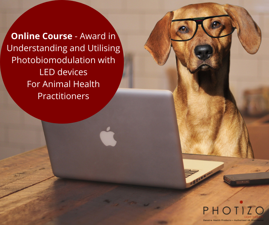 Award in Understanding and Utilising Photobiomodulation with LED devices for Animal Health Practitioners