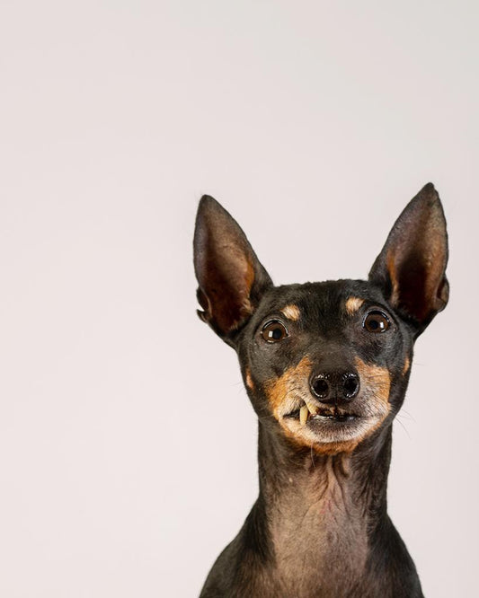 Mr. Binks and Photizo