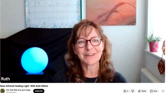 Pet Talk with Ana and Teddy YouTube Channel