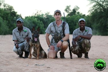 Dogs 4 Wildlife