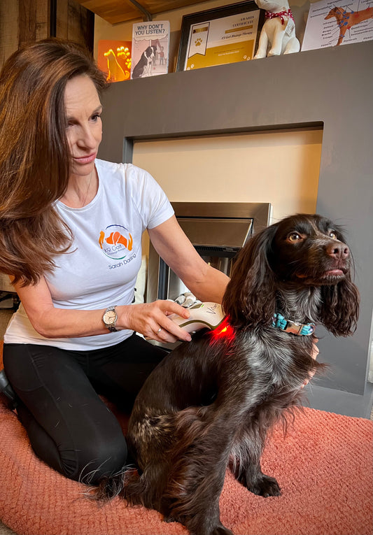 An Epic case study... Home use Photobiomodulation