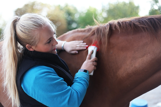 Effect of light therapy on heart rate and behaviour in horses