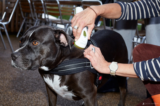 Promoting a preventative approach to Arthritis