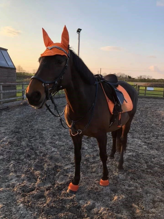 Rapid wound healing case result during Covid-19 lockdown!