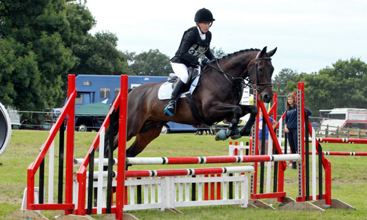 Treating Jenson with Photizo Vetcare