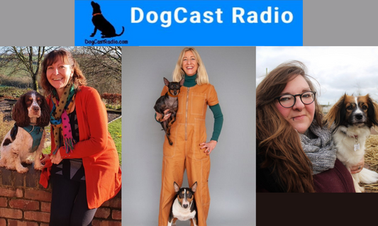 Learn About Red Light Therapy on DogCast Radio