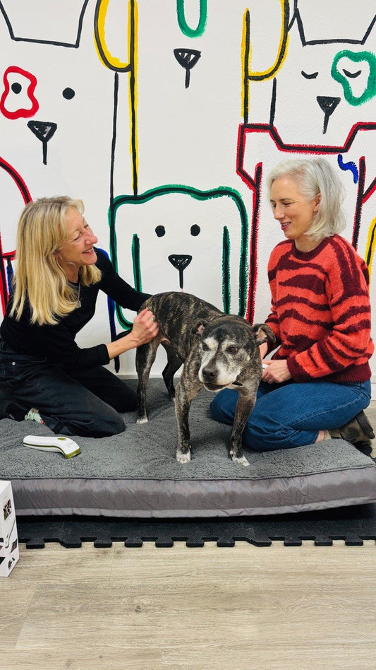 A Brighter Life for Rupert