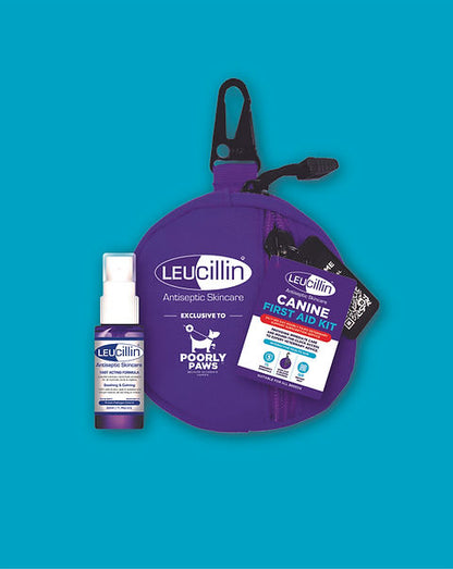 Leucillin & Poorly Paws First Aid Kit