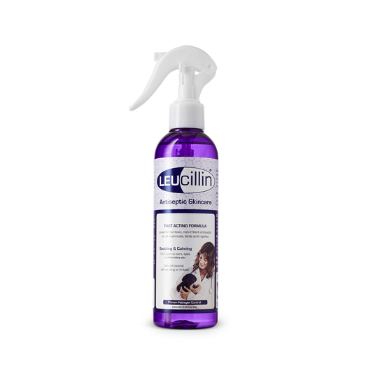 Leucillin Antiseptic Skincare (250ml spray)