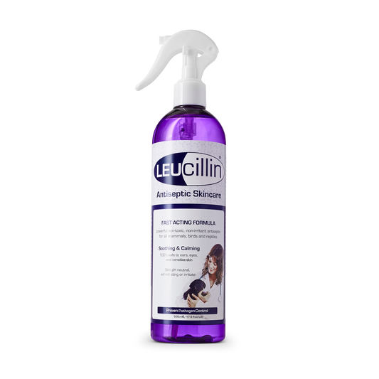 Leucillin Antiseptic Skincare (500ml spray)